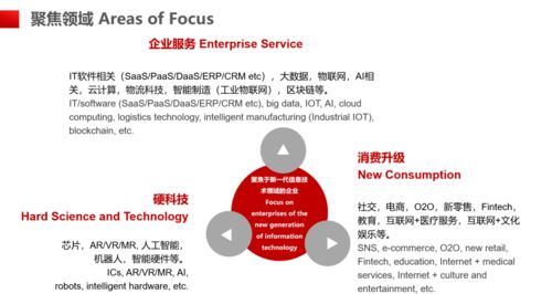 浦軟孵化器 打造泛信息技術(shù)領(lǐng)域的創(chuàng)新創(chuàng)業(yè)全產(chǎn)業(yè)鏈生態(tài)