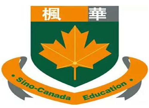 成都全腦開發(fā)加盟市場(chǎng)洞察與選擇指南